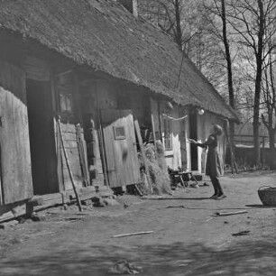 Landschaftsbild. Frühling im Spreewald. Blühende Wiesen. : Wobraz krajiny. Nalěćo w Błótach. Kćějate łuki.