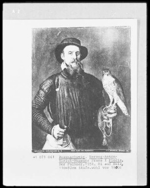Der Falkenjäger