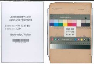 Entnazifizierung Walter Brettmeier , geb. 20.02.1902 (Geschaeftsfuehrer)