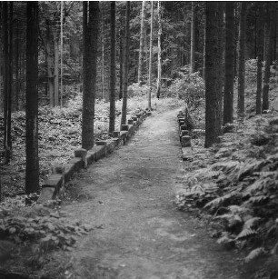 Hohe Brücke : Pirna-Graupa. Hohe Brücke, Sandstein-Bogenbrücke, Fahrbahn (ungepflastert). Blick in Richtung Brückenlängsachse. 1701/1800. 3. Brücke im Zuge des Fahrweges Wünschendorf - Graupa