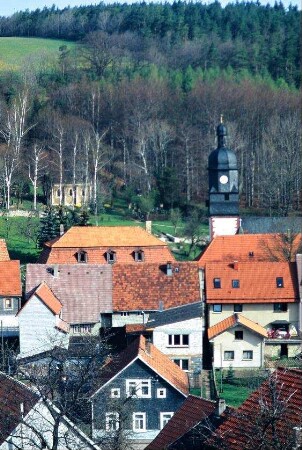 Blick über den Ort; Kirchturm und Häuser; hinten Wald