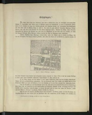 Fig. 20. Schloß in Göppingen. Lageplan.