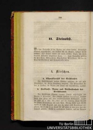 II. Steinobst.