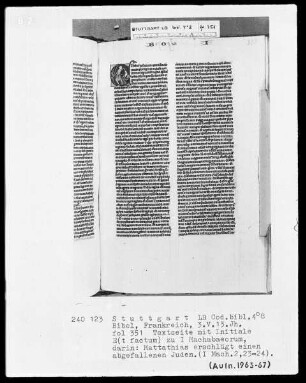 Lateinische Taschenbibel — Initiale E (t factum), darin erschlägt Mattathias einen Juden, Folio 351recto