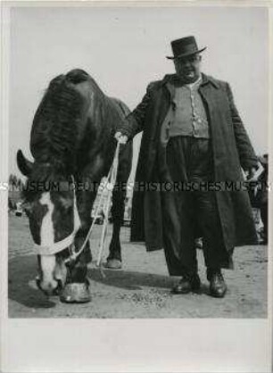 Pferdehändler mit Pferd