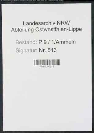 Sterberegister Standesamt Ammeln