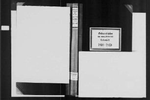 Lobenfeld, evangelische Gemeinde: Geburtenbuch 1810-1869