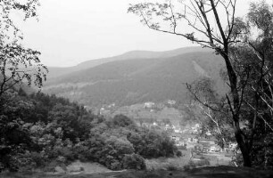 Bad Dürkheim: Blick von der Klosterruine Limburg auf Ortsteil Grethen