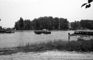Kappel: Rheinfähre