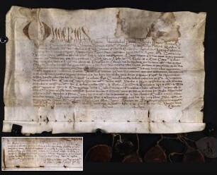 Ablassurkunde von Kardinal Oliverius Carafa und weiteren namentlich genannten Kardinälen für die St. Nikolauskapelle in Kaunas (Litauen).