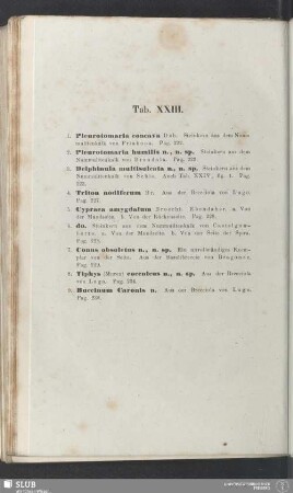 Tab. XXIII.