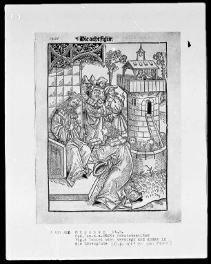 Schatzbehälter oder Schrein der waren reichtümer des heils und ewyger seligkeit genannt — Fig. 8, Daniel wird verklagt und kommt in die Löwengrube