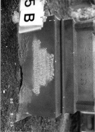 Grabstein 545 (Index: 100095129) Maße HxBxT: 170x52x23 cm Symbolik: Schofar Besonderheit: kulturhistorisch wertvoll / hist.-wiss. Gründe (Gemeindestellung): Grabstein 545B