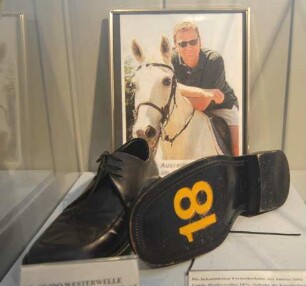Westerwelle