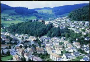 Kollnau: Westhang mit Bebauung