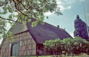 Hohenfelde 1: traufständiges Fachhallenhaus mit Reetdach: Giebelseite Wirtschaftstrakt mit Scheunentor
