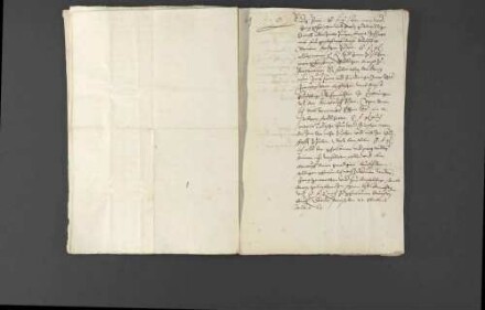 Zeitungsnachrichten über Religionsangelegenheiten in Frankreich, den geplanten Zug des französischen Königs Karl IX. nach Deutschland, Gerüchte über eine Beteiligung des Hauptmanns von Toul an der Ermordung des Heinrich von Ulm sowie die militärischen Werbungen des von Berthi für Louis I. de Bourbon, Fürst von Condé.
