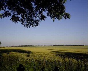 Kolín, Schlachtfeld (1757.06.18)