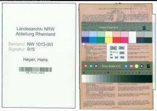 Entnazifizierung Hans Heyer , geb. 03.01.1906 (Kaufmann)