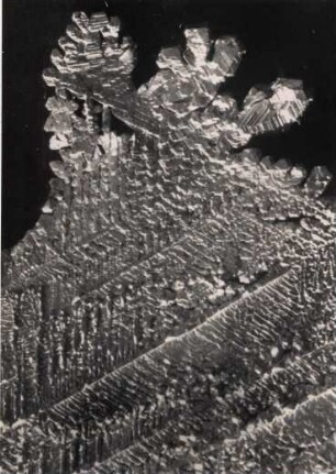 Gold in Blechform, Kristalle, Verespatak (Goldbach), Siebenbürgen, Rumänien, Sammlung der Universität Bonn