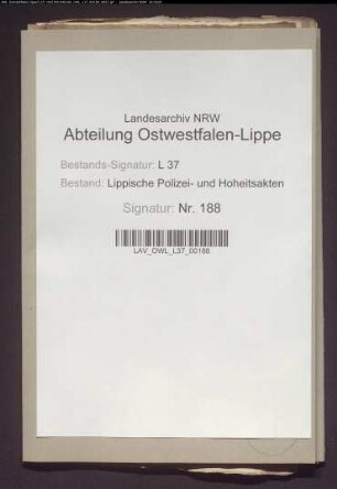 Uneheliche Kinder und vorehelicher Beischlaf