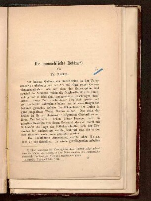 Die menschliche Retina