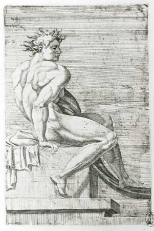 Jünglingsfigur der Sixtinischen Decke : Coornhert, Dirk Volkertszoon nach Michelangelo . Jüngling der Sixtinischen Decke. Radierung; 218 x 140 mm. Dresden: Kupferstich-Kabinett in A 917-919, A 87560
