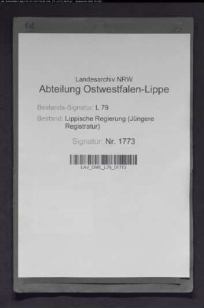 Revision der lippischen Steuerkassen