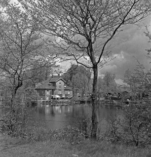 Mühlenteich: vorn Zaun: in der Mitte und links Bäume: hinten links zwischen Bäumen Mühle: davor Lkw mit Anhänger: hinten rechts Schuppen