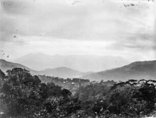 Urwaldartiger Regenwald : Urwaldartiger Regenwald in einer Gebirgslandschaft. Im Hintergrund eine Siedlung