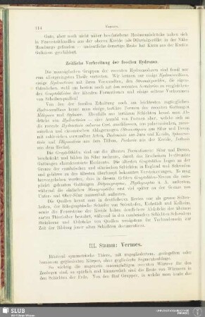 III. Stamm: Vermes