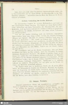 III. Stamm: Vermes