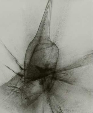 Blatt 7 der Sequenz 'si parva licet componere magnis'