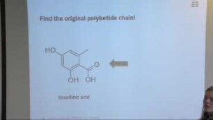 Biosynthesis of polyketide natural products