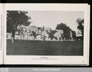 73. Damascus.