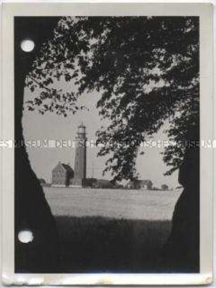 Greifswalder Oie