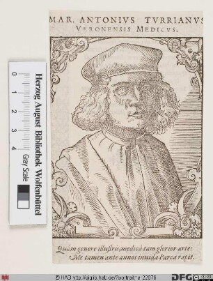 Bildnis Marcantonio della Torre (lat. Marcus Antonius Turrianus)
