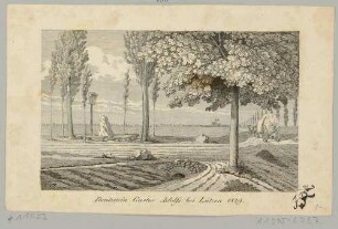 Gedenkstein anlässlich des Todes des schwedischen Königs Gustav Adolf 1632 in der Schlacht bei Lützen westlich von Leipzig (Sachsen-Anhalt) während des Dreißigjährigen Krieges
