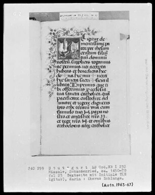 Missale speciale — Initiale T(e igitur) mit der Errichtung der ehernen Schlange, Folio 23recto