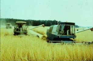 Fotografie: Erntetechnik, Mähdrusch, Mähdrescher selbstfahrend