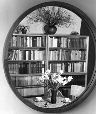 Die Wohnung des Fotografen im Krohnskamp. Der Frühling im Spiegelbild.