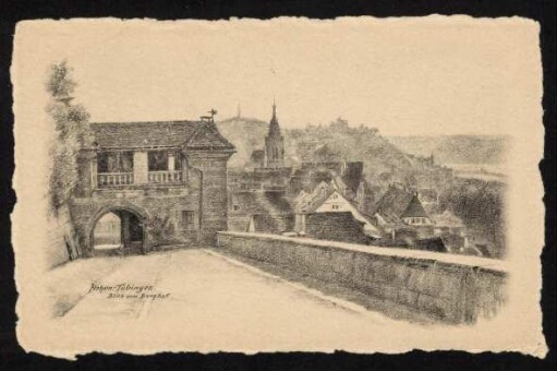 4, Hohen-Tübingen. Blick vom Burghof.