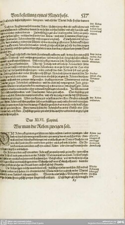Das XLVI. Capitul. - Das L. Capitul.
