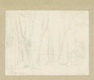 Pavillon im Wald
