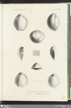 Pl. 514