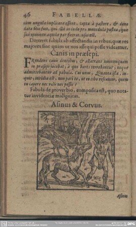 Asinus & Corvus