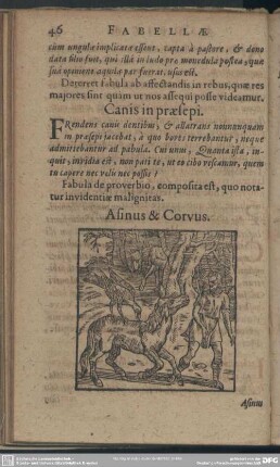 Asinus & Corvus