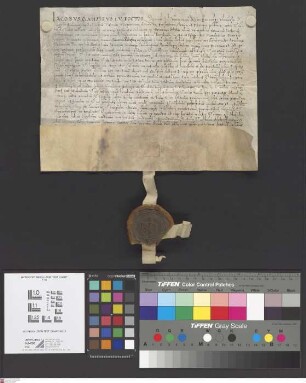 Seligenstadt: Possessio et possessiones instrumentum altaris S. Valentini in ecclesia parochiali in opido Selgenstadt pro Jodoco Sondermann per ab...