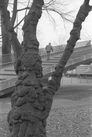 Brücke über die Kriegsstraße in Höhe der Lammstraße