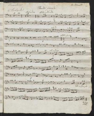 Flauto piccolo